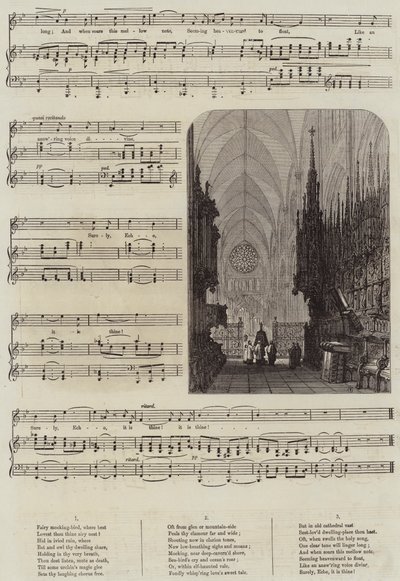 Echo von Samuel Read